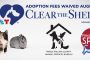 IWALK for ACTS scheduled for Oct. 25