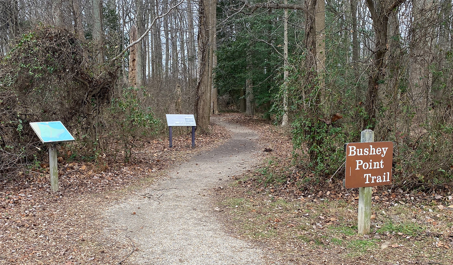 First Day Hikes to be held New Year's Day